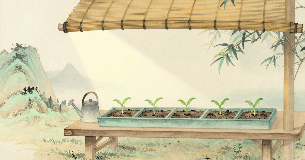 Không chắc giờ sinh — vẫn có cách bắt đầu đúng với lá số của mình